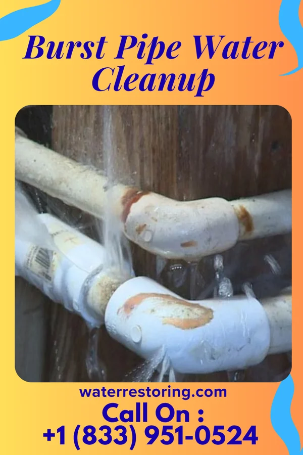 Burst Pipe Water Cleanup in Hudson, WI